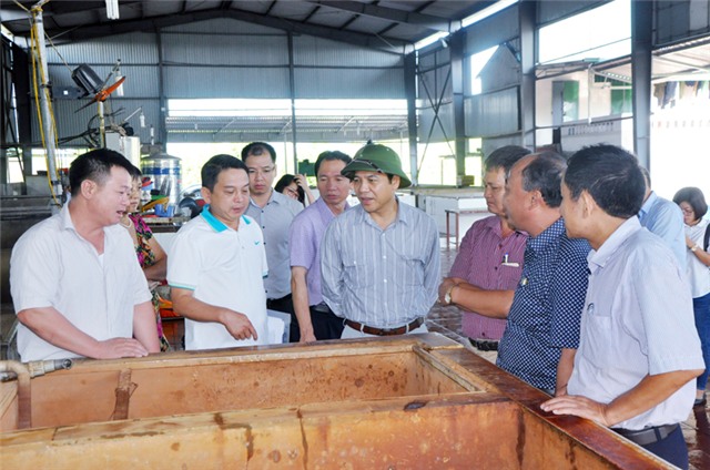 Phó Chủ tịch Thường trực UBND tỉnh Đặng Huy Hậu kiểm tra các cơ sở giết mổ gia súc, gia cầm tập trung tại TP 32Win12 com tại tài khoản