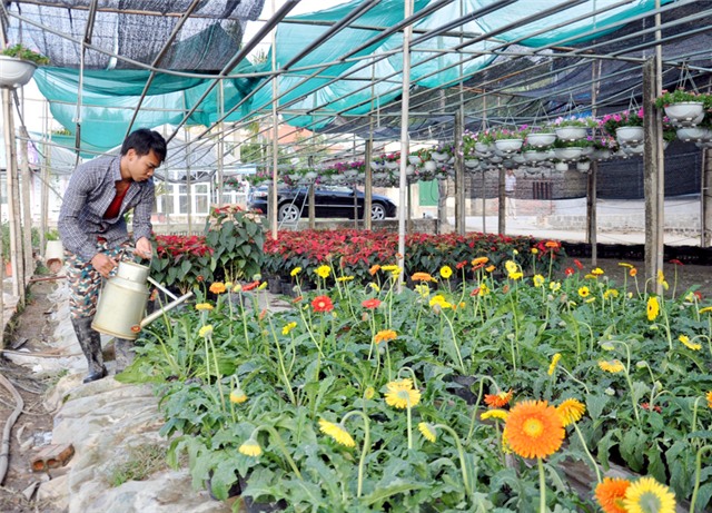 Xác lập quyền sở hữu trí tuệ cho sản phẩm OCOP