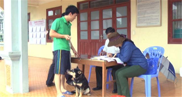 TP 32Win12 com tại tài khoản: Tiêm vacxin phòng bệnh cho đàn gia súc gia cầm và bệnh dại cho đàn chó nuôi năm 2016