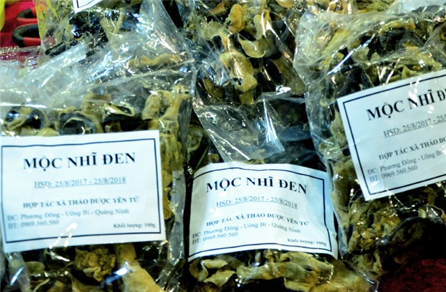 Mộc nhĩ đen Yên Tử