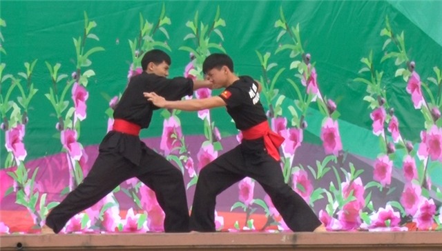 Biểu diễn võ thuật đầu xuân