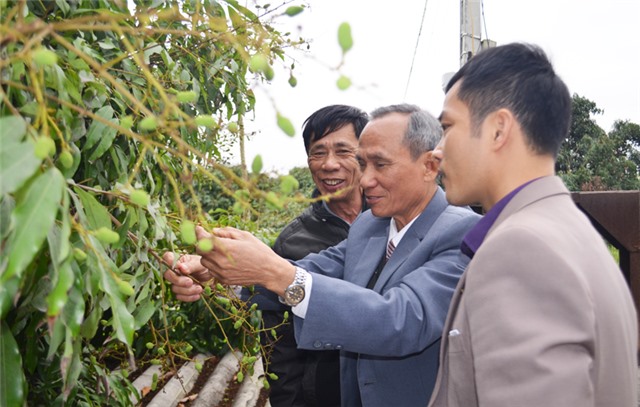 Hội nghị xúc tiến 32Win link hiện đang mở, tiêu thụ vải chín sớm Phương Nam