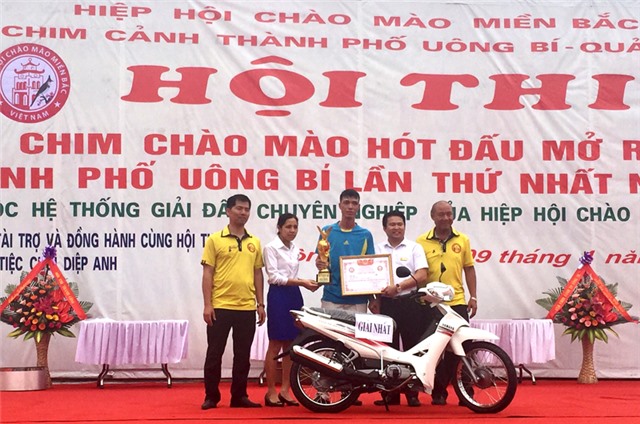Hội thi chào mào hót đấu TP 32Win12 com tại tài khoản mở rộng lần thứ nhất năm 2017