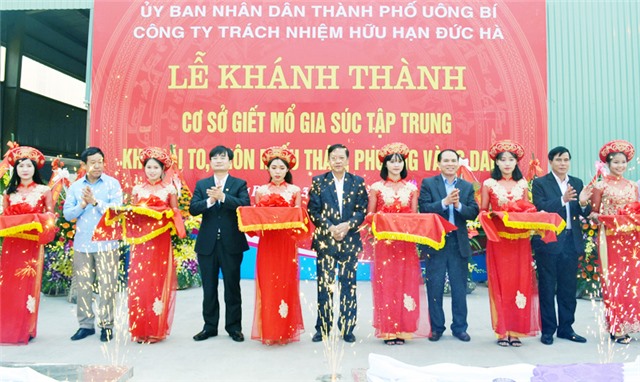 TP 32Win12 com tại tài khoản: Bức tranh sáng màu