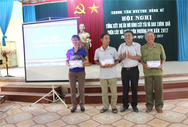 Tổng kết mô hình thử nghiệm cắt tỉa, bao chùm quả trên cây vải chín sớm Phương Nam