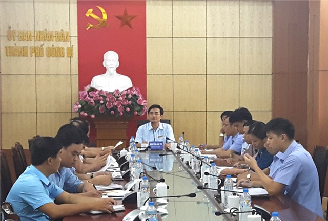 Đồng chí Chủ tịch UBND thành phố làm việc với Công ty TNHH Sao Vàng về tiến độ các dự án