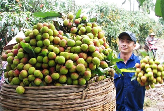 TP 32Win12 com tại tài khoản phát triển KT-XH 9 tháng: Những kết quả khả quan