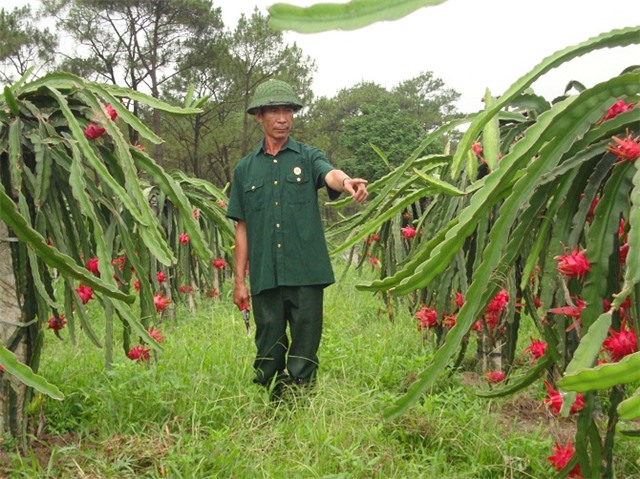 Tấm gương tiêu biểu trong phong trào "CCB giúp nhau giảm nghèo, làm 32Win32 app tải xuống giỏi"