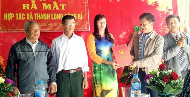 Ra mắt HTX Thanh long 32Win12 com tại tài khoản 