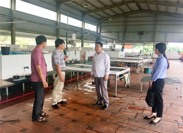 Hết tháng 4-2019, việc giết mổ gia cầm tại các hộ giết mổ nhỏ lẻ sẽ đưa vào các cơ sở giết mổ tập trung