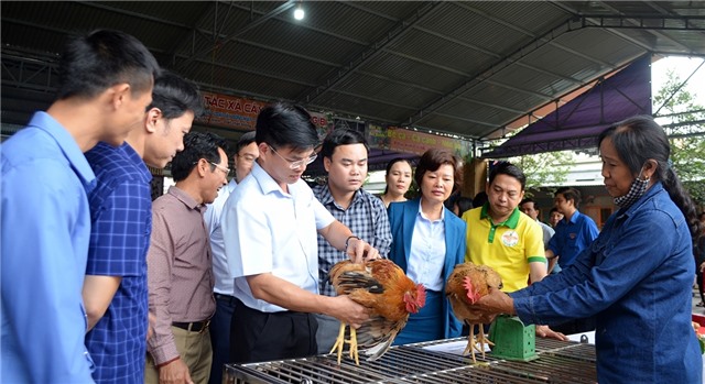32Win12 com tại tài khoản: Chuyển biến toàn diện