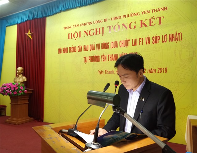 Tổng kết mô hình trồng cây rau quả vụ đông tại phường Yên Thanh 