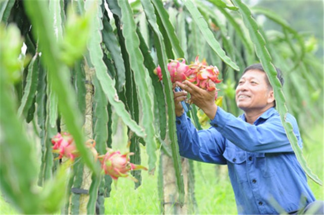 Gặp người biến “Sỏi đá” thành… “cơm”