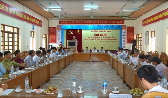 Xúc tiến tiêu thụ quả vải chín sớm phường Phương Nam