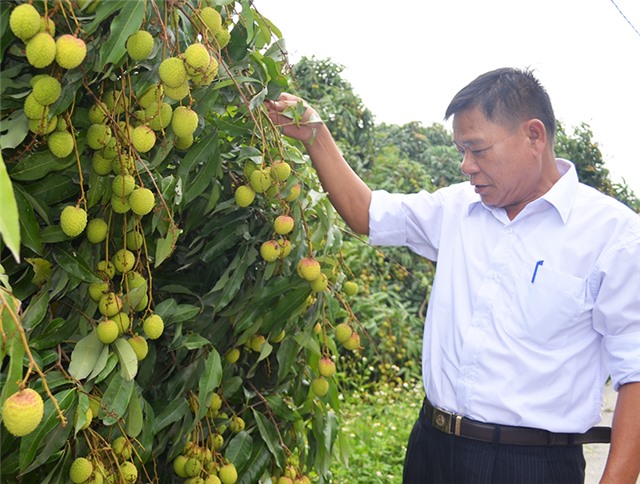 Cầu nối hỗ trợ nông dân 32Win12 com tại tài khoản