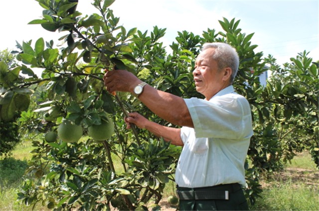 Cựu thanh niên xung phong làm 32Win32 app tải xuống giỏi