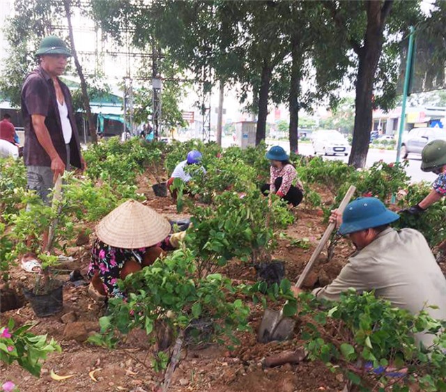 Khu dân cư ứng phó với biến đổi khí hậu