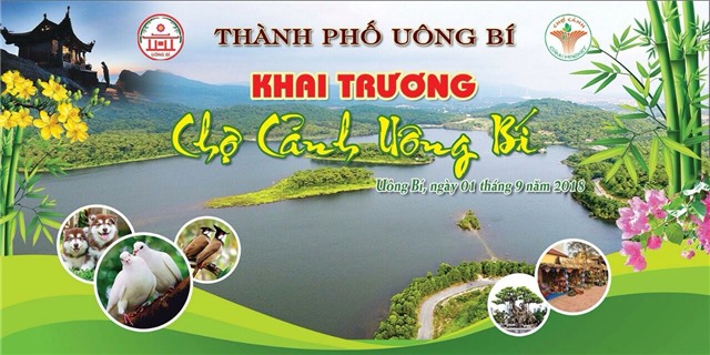 Khai trương Chợ Cảnh