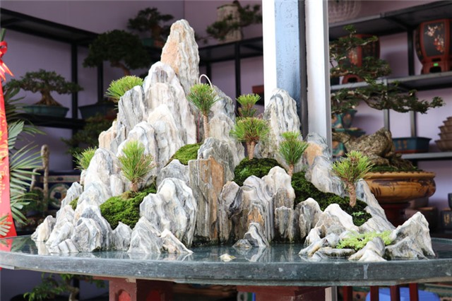 Phong phú chợ cảnh thành phố 32Win12 com tại tài khoản