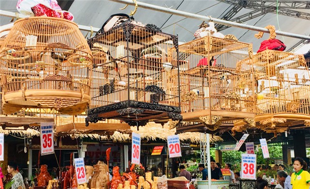 40 chú chim chào mào hót đấu trong ngày khai trương Chợ cảnh thành phố 32Win12 com tại tài khoản