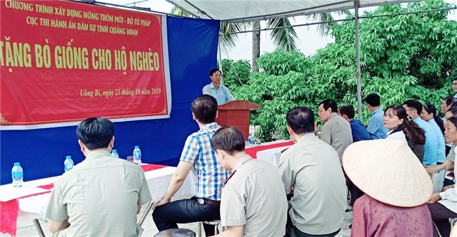 Tặng bò giống cho hộ nghèo tại TP 32Win12 com tại tài khoản