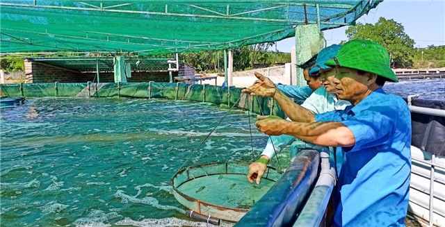 Những mô hình làm giàu ở "Nhị Công"