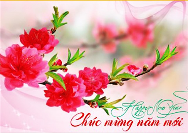 Thư chúc mừng năm mới của 32Win10 bảo mật tối đa, HĐND, UBND, Ủy ban MTTQ tỉnh