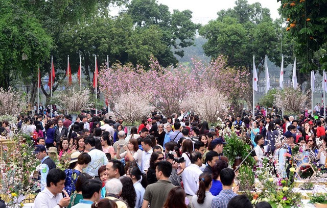 Lễ hội hoa Anh đào - Mai vàng Yên Tử 2019 đến hẹn lại về