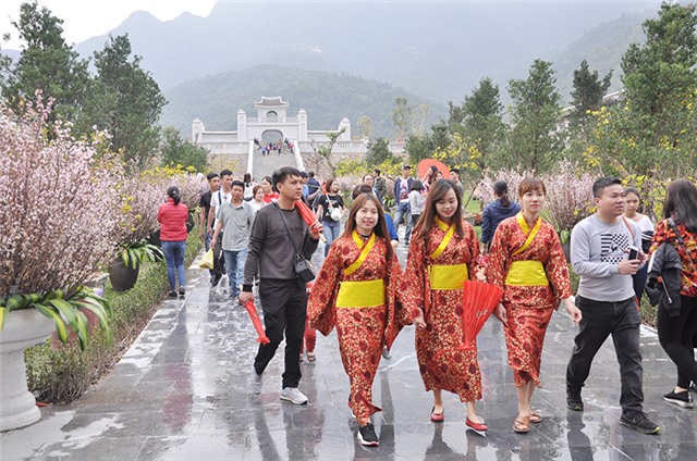 Lễ hội hoa Anh đào - Mai vàng Yên Tử 2019: Hội tụ sắc hương, lan tỏa nụ cười