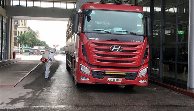 13 tỉnh, thành trong nước phát hiện dịch tả lợn châu Phi