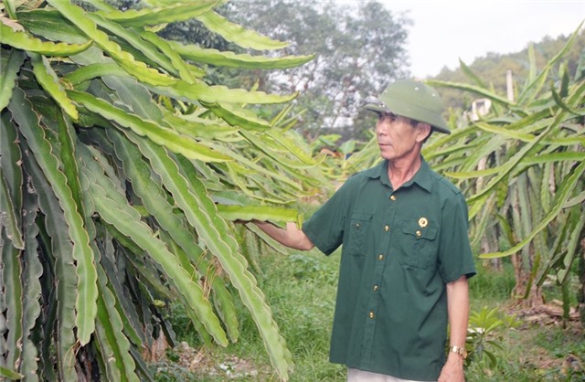 CCB Đoàn Quang Ngọc làm giàu trên đất Phương Đông