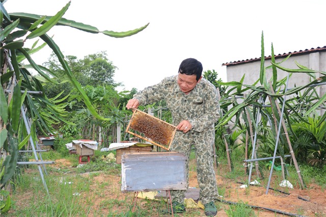 Cựu cán bộ ngành Công an tâm huyết với nghề nuôi ong lấy mật
