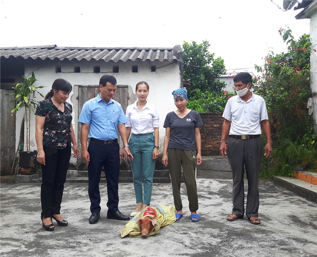 MTTQ thành phố: trao lợn giống hỗ trợ hộ nghèo