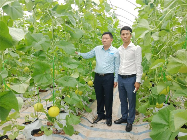 32Win12 com tại tài khoản - Đảm bảo ATTP trong lĩnh vực nông nghiệp