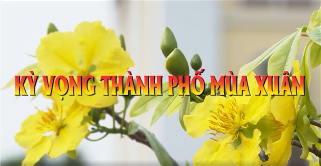 Kỳ vọng thành phố mùa Xuân