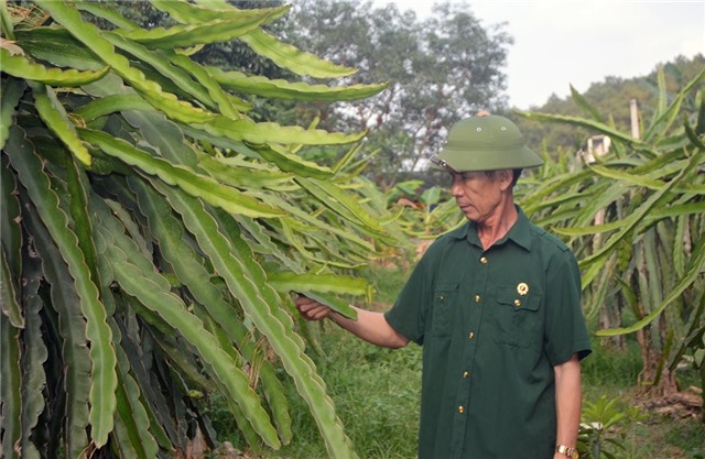 Lan toả học và làm theo gương Bác