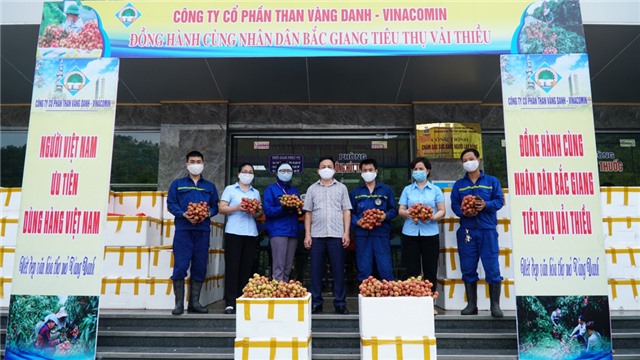 Công ty CP Than Vàng Danh hỗ trợ tiêu thụ 11 tấn vải thiều Bắc Giang