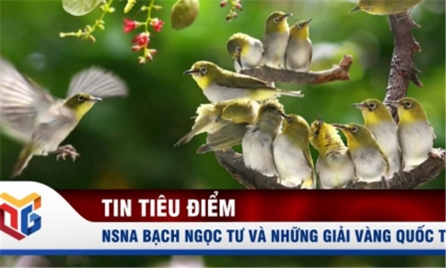 NSNA Bạch Ngọc Tư và các giải vàng quốc tế