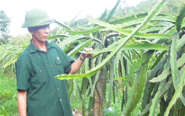 Sáng mãi phẩm chất Bộ đội Cụ Hồ