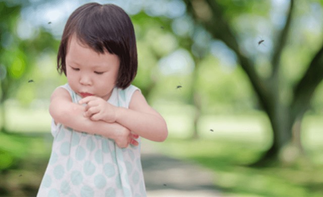 Trẻ mắc sốt xuất huyết: Những lưu ý trong điều trị, chăm sóc
