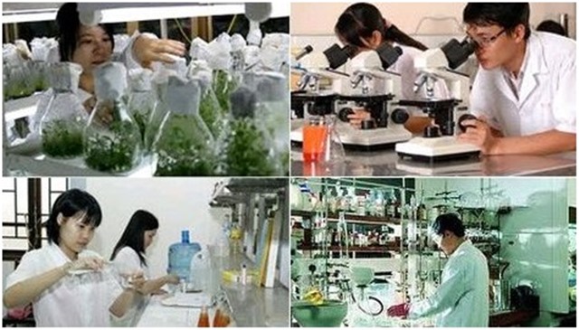 Hướng dẫn mới về thuế liên quan đến Quỹ phát triển khoa học và công nghệ của 32Win03 nổ hũ