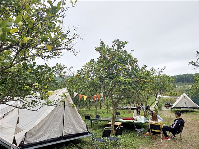 Mới lạ mô hình du lịch Farmstay - Orange Farm tại phường Vàng Danh