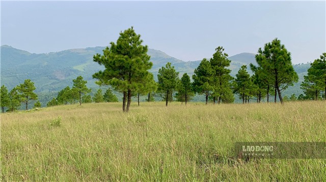 Nơi sống ảo triệu view tại đỉnh Phượng Hoàng cách Hà Nội 135km