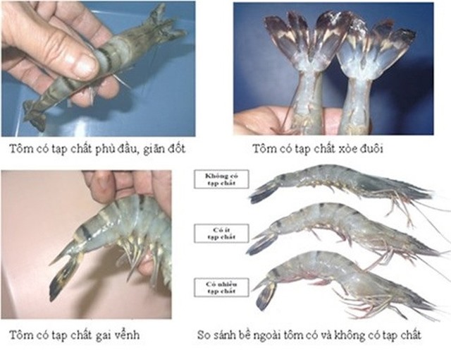 Cách nhận biết tôm, cá "ngậm" hóa chất