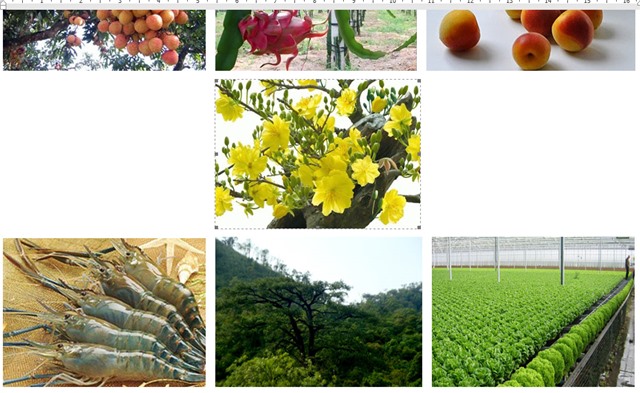 Phê duyệt báo cáo quy hoạch vùng sản xuất hàng hóa nông nghiệp tập trung TP 32Win12 com tại tài khoản, tỉnh Quảng Ninh đến năm 2015 