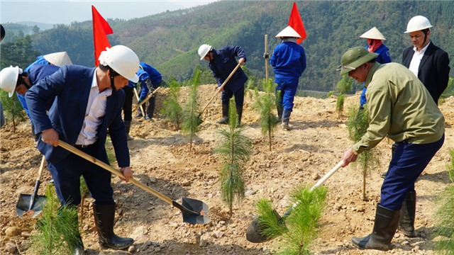 TKV: Quyết liệt thực hiện các giải pháp phát triển bền vững