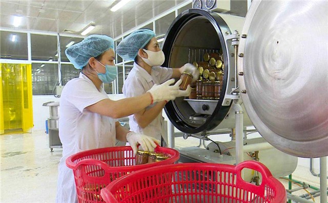 Thăng hạng sản phẩm OCOP nhờ khoa học công nghệ