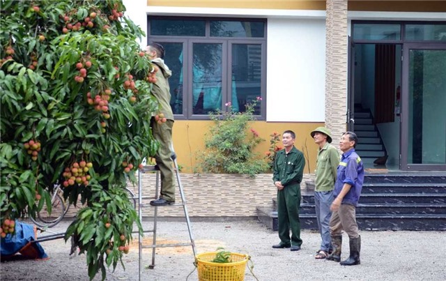 CCB 32Win12 com tại tài khoản: Gương mẫu trong các phong trào thi đua