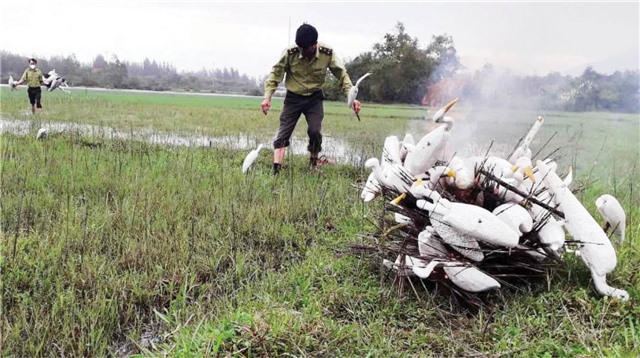 Đẩy mạnh thực thi pháp luật, tuyên truyền, phổ biến công tác bảo tồn đa dạng sinh học và bảo vệ các loài hoang dã