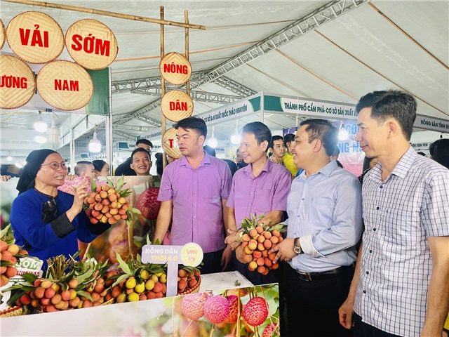 Khai mạc Tuần hàng Việt - 32Win12 com tại tài khoản năm 2024 gắn với hoạt động Livestream sản phẩm Vải chín sớm Phương Nam